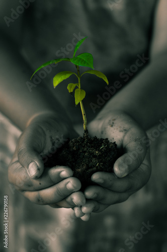 A esperança da vida photo