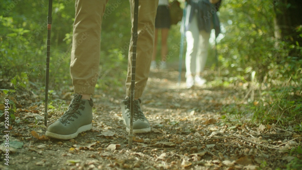Close up trekking boots and nordic walking. Group of backpackers on hiking throught the forest. Close up trekking boots and nordic walking. Group of backpackers on hiking throught the forest.