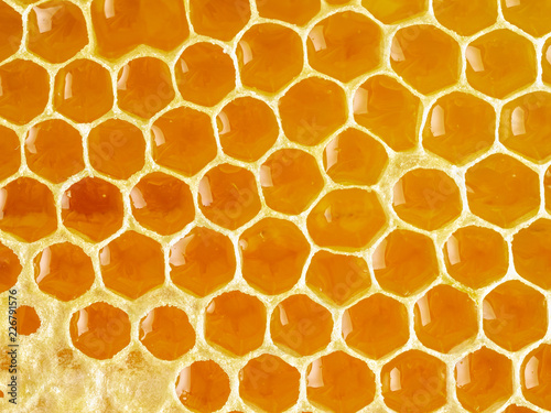 bee honeycomb closeup, fresh stringy dripping sweet honey, macro background.