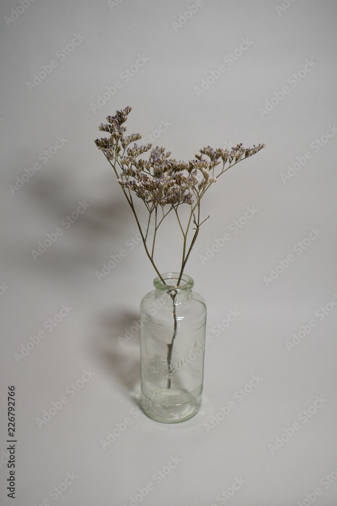 ドライフラワー 一輪挿し 花瓶 ガラス 透明 Stock Foto Adobe Stock