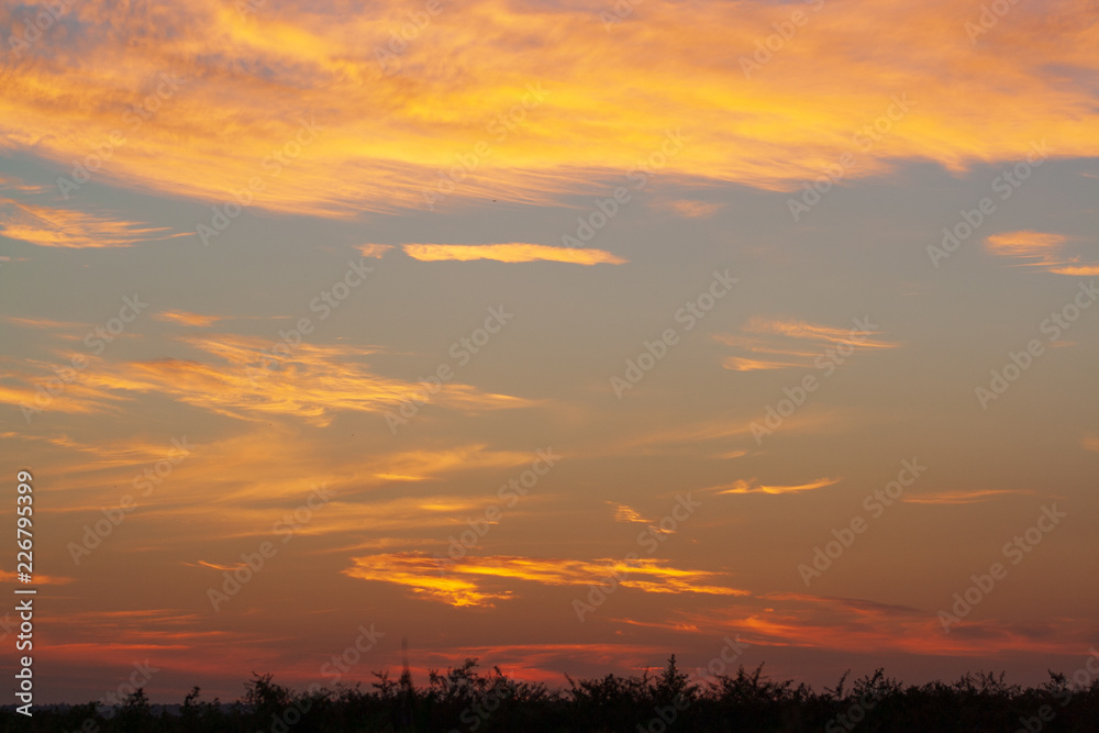 Fototapeta premium Sunrise