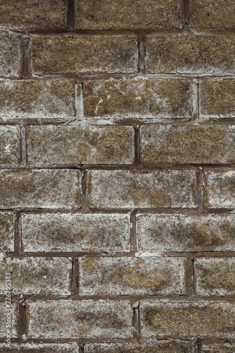 Brick snowcapped wall