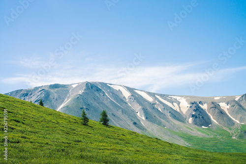 Giant mountains with snow above green valley in sunny day. Meadow with rich vegetation and trees of highlands in sunlight. Amazing mountain landscape of majestic nature.