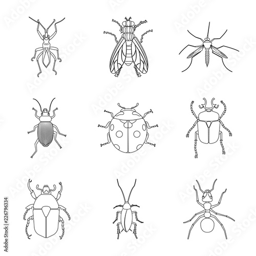 Isolated object of insect and fly logo. Collection of insect and element vector icon for stock.