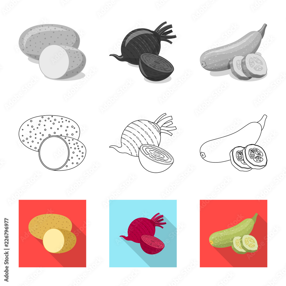 Vector design of vegetable and fruit logo. Set of vegetable and vegetarian vector icon for stock.