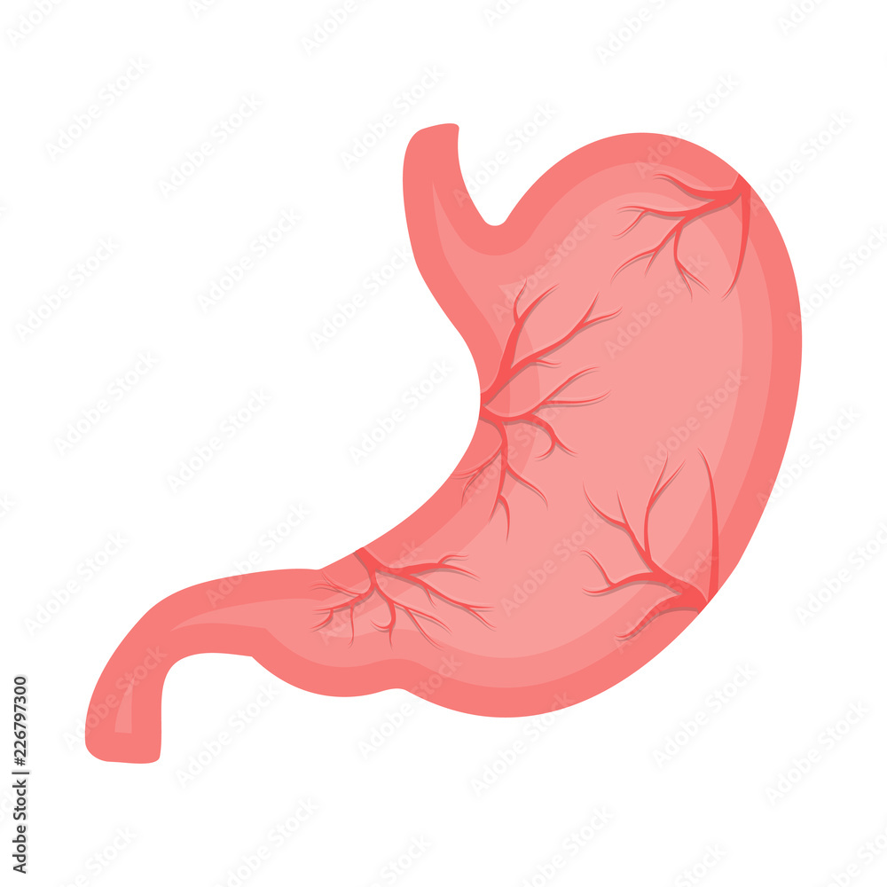 Isolated object of body and human icon. Set of body and medical stock symbol for web.