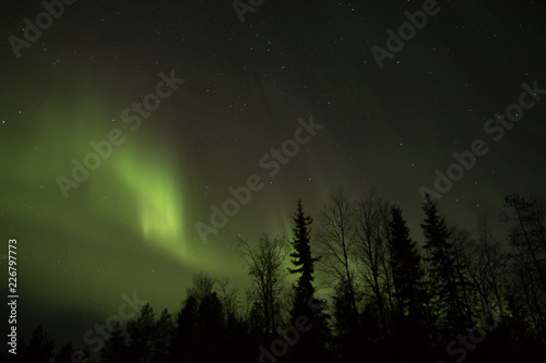 Northern Lights in Kuusamo, Finland © Jenni