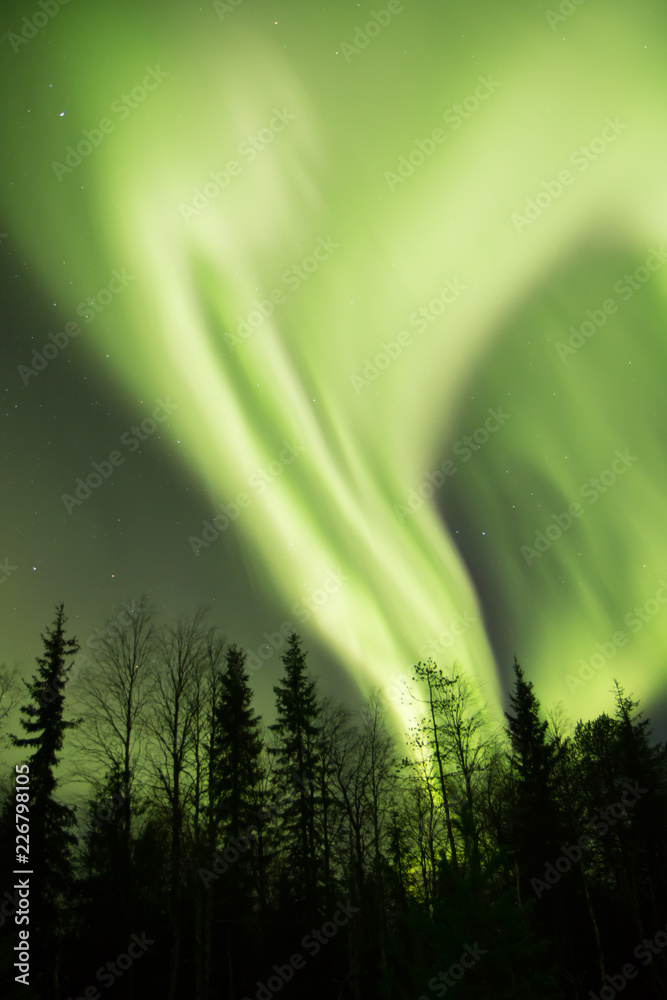 Northern Lights in Kuusamo, Finland Stock Photo | Adobe Stock