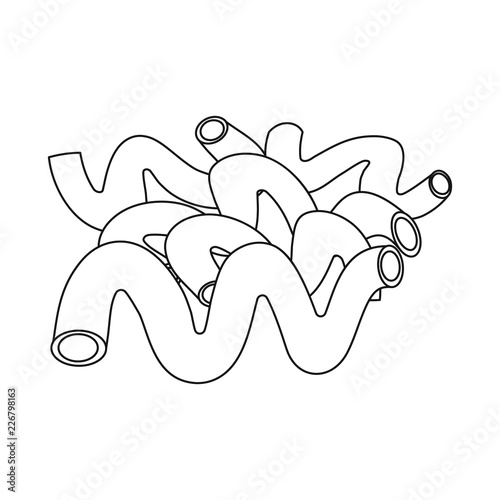 Vector design of pasta and carbohydrate sign. Set of pasta and macaroni stock vector illustration.