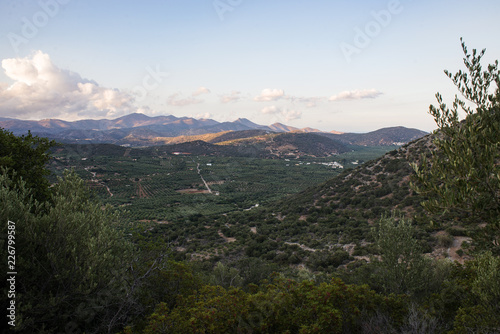 Crete island inland countryside landscape mountain view plantation olives fields green trees