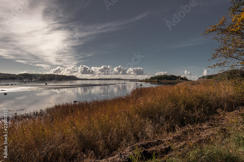 Autumn sunny morning in Sweden