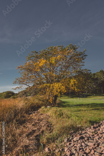 Autumn sunny morning in Sweden