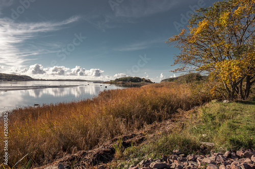 Autumn sunny morning in Sweden