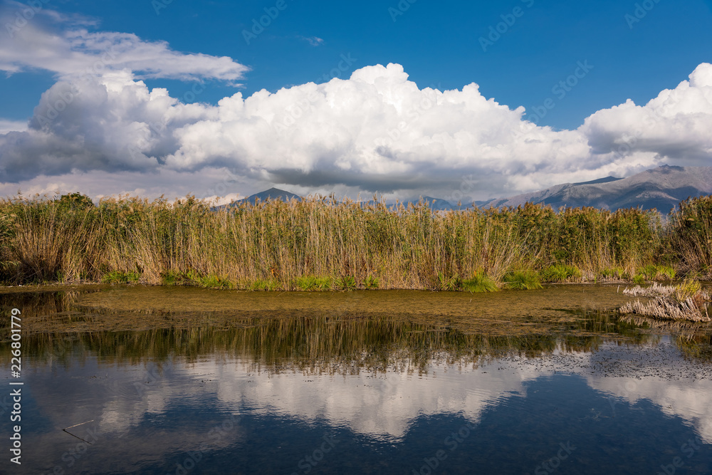 View of the shore of the Mikri (Small) Prespa Lake in northern Greece