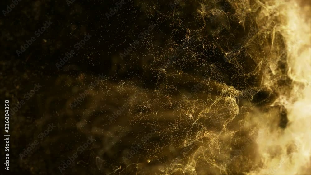 Gold abstract lines flying on background. 