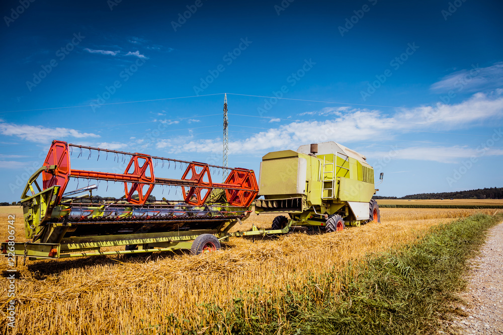 Fototapeta premium Combine harvesters Agricultural machinery. The machine for harvesting grain crops.