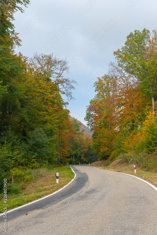 Fototapeta premium Strasse durch herbstliche Landschaft