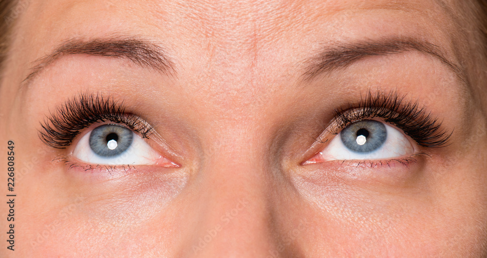 Fototapeta premium Close-up face of beautiful young woman with beautiful blue eyes and big pretty eyelashes and eyebrows. Macro of human eye - open expressive look up.