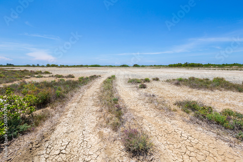 Roads in the countryside  where water shortage until the ground surface cracked.