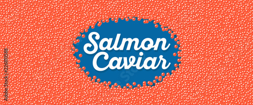 Salmon caviar banner in cartoon style