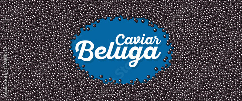 Beluga caviar banner in cartoon style