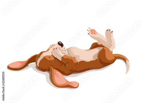 Vector hand drawn illustration of basset hound puppy. Cute lying dog covered eyes with paws. Funny animal character