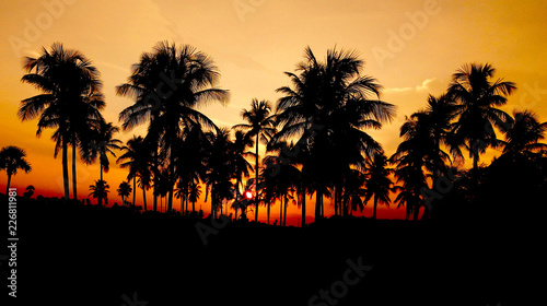 sunset on the beach