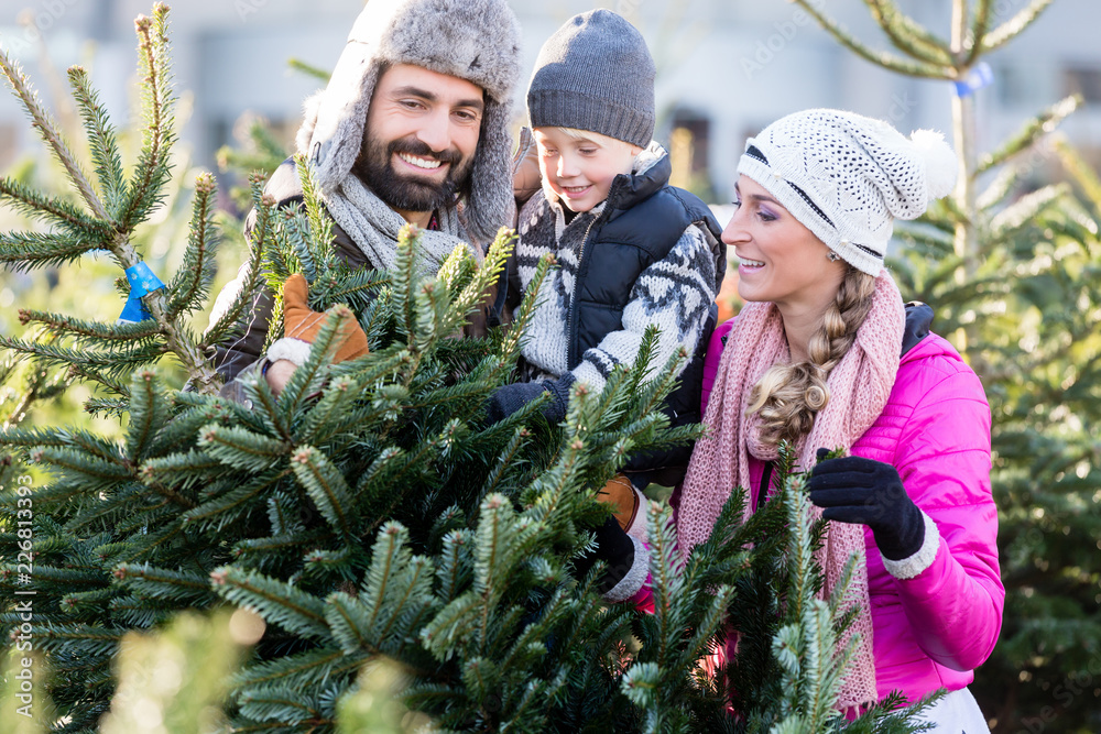 Family buying Christmas tree on market taking it home Stock Photo