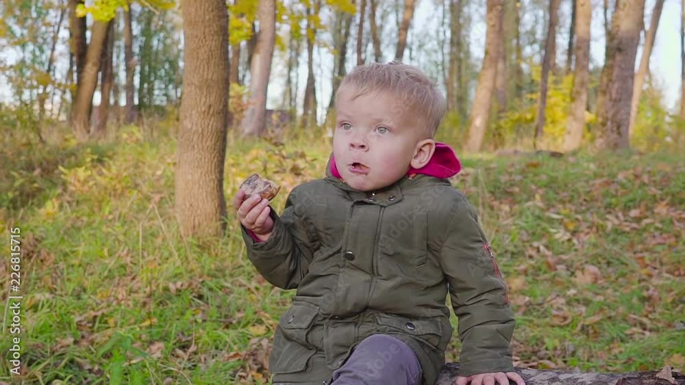 Outdoor portrait of adorable toddler boy in autumn park, having fun and eating a biscuit. Outdoor portrait of adorable toddler boy in autumn park, having fun and eating a biscuit.