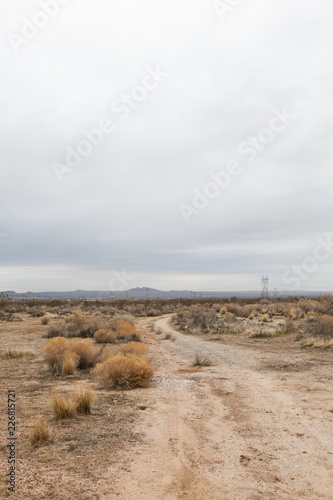 Desert Landscape