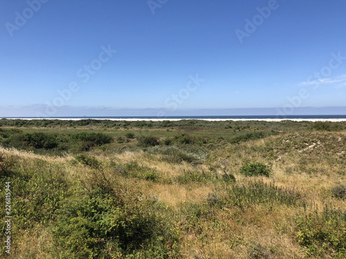 Sand dune landscape on Schiermonnikoog