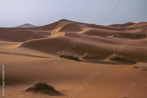 sand dunes in the sahara desert  Morocco