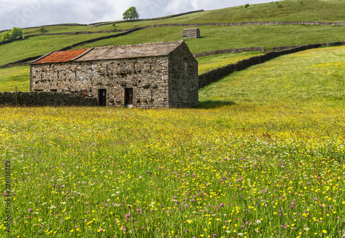 Wild flower meadows at Muker in Swaledale