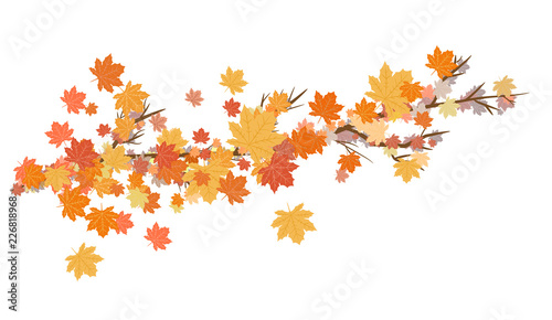 Vector Illustration of an Autumn Design with Autumnal Branch