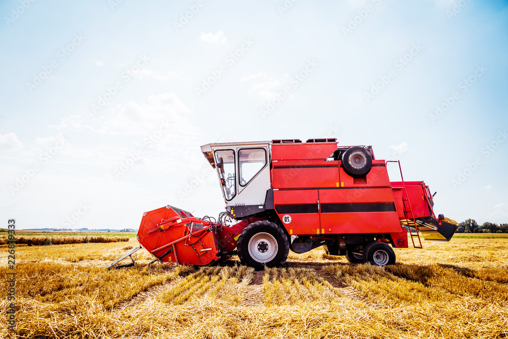 Fototapeta premium Combine harvesters Agricultural machinery. The machine for harvesting grain crops.