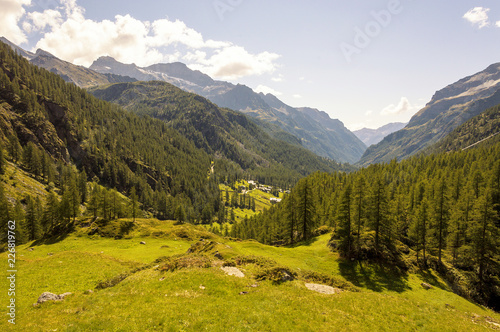 Panoramic view of a forest in the valley of Gressoney near Monte Rosa © Sergio Pazzano