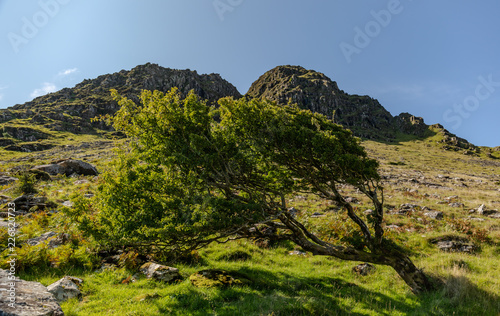 At Lough Anascaul, Kerry, Ireland. photo