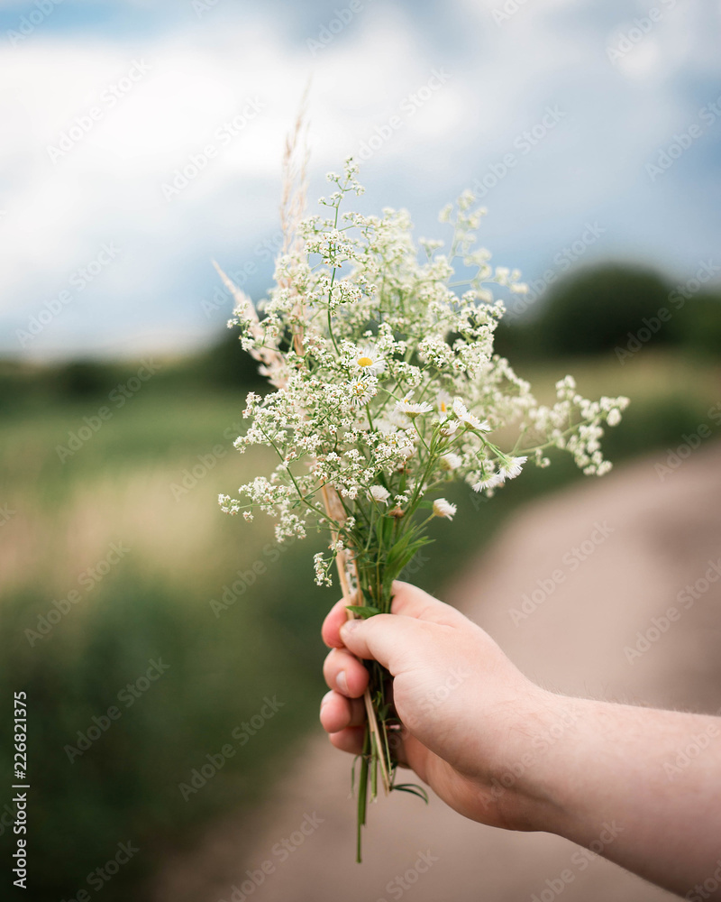 A bouquet of wildflowers in the hands of a little boy, while walking in the woods.