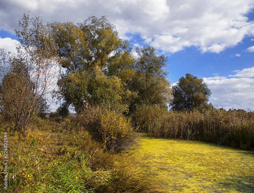 Fototapeta premium Rural backwater near Kiev