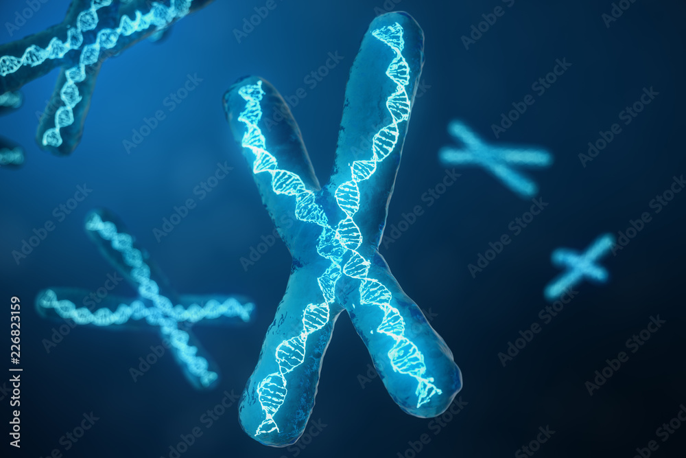3D illustration X-Chromosomes with DNA carrying the genetic code. Genetics concept, medicine concept. Future, genetic mutations. Changing the genetic code at the biological level.
