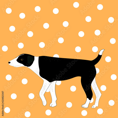 Hand drawn illustration of dog on dots background