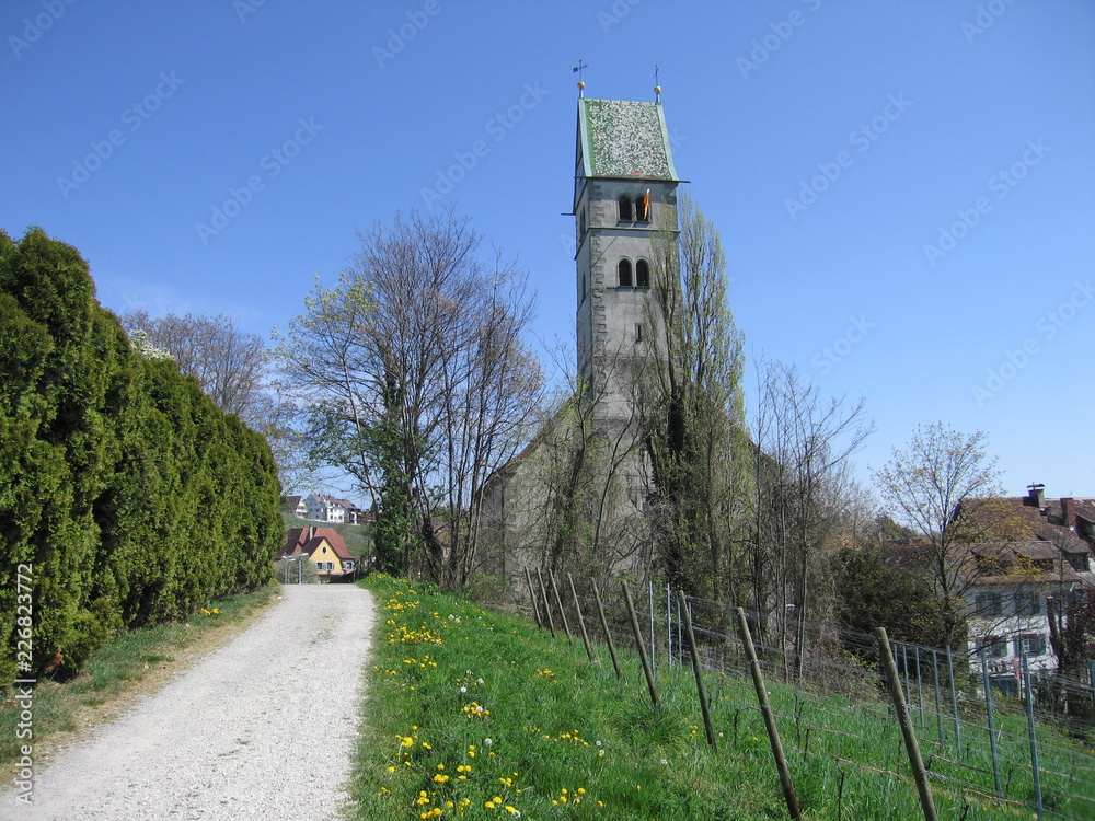 Feldweg im Frühjahr zur Kirche Maria Heimsuchung in Meersburg