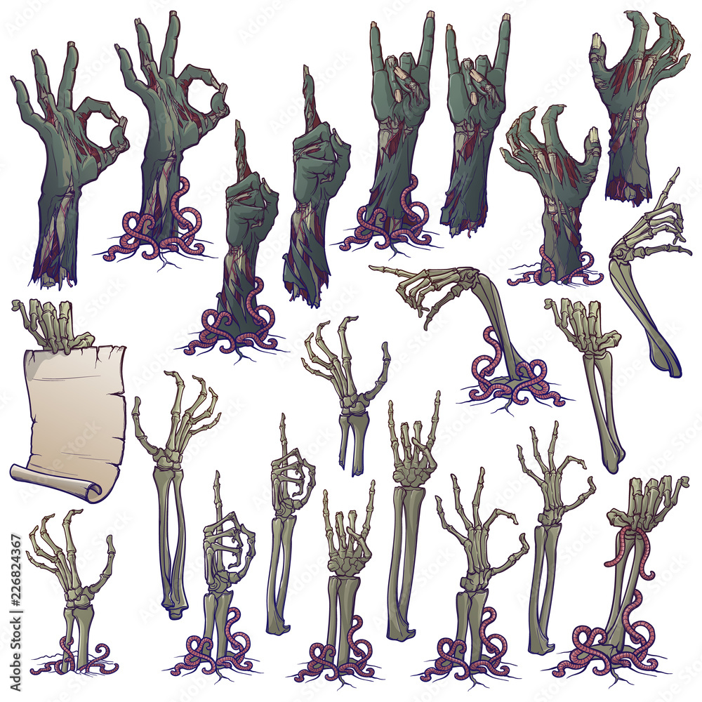 Fototapeta premium Zombie body language. Set of lifelike rotting zombie hands and skeleton hands rising from under the ground and torn apart. linear drawing isolated on white background. EPS10 vector illustration