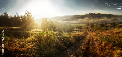 Sunrise over Montespertoli farmland, Tuscan region of Florence photo