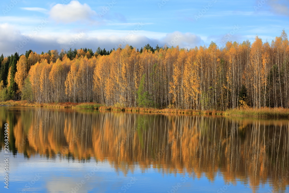 Autumn. Reflection of yellow trees in blue water