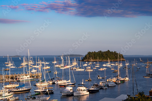 Many ships in Camden, ME harbor against blue sky