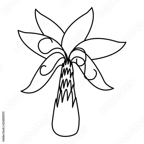 Tree palm cartoon