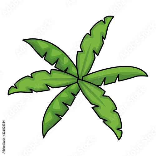Leaves nature cartoon