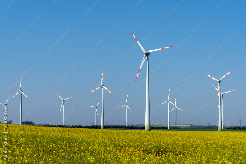 Yellow blossoming rapeseed and some wind energy plants seen in rural Germany Yellow blossoming rapeseed and some wind energy plants seen in rural Germany