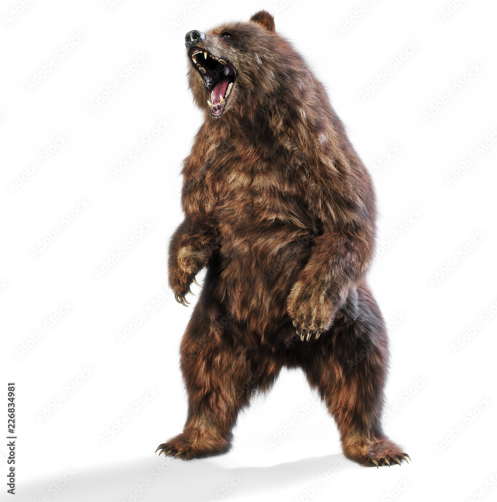Fototapeta premium Duży niedźwiedź brunatny stojący w agresywnej postawie na na białym tle. Renderowanie 3d